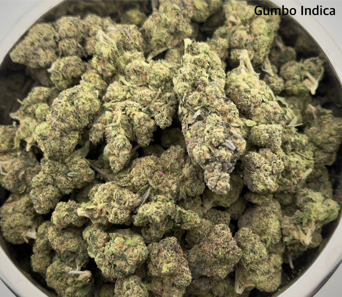 AAA - Gumbo Indica