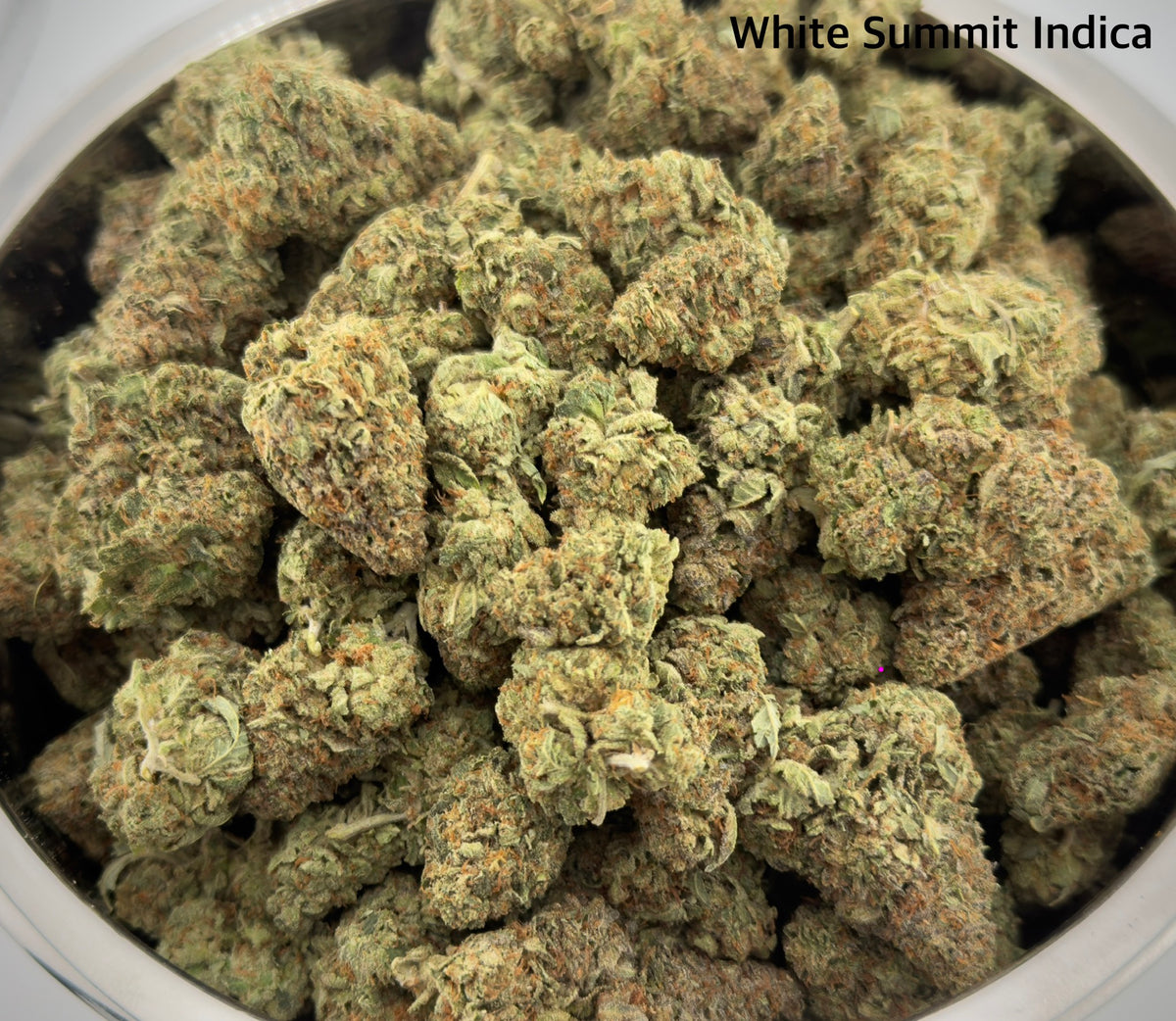 AAA - White Summit Indica