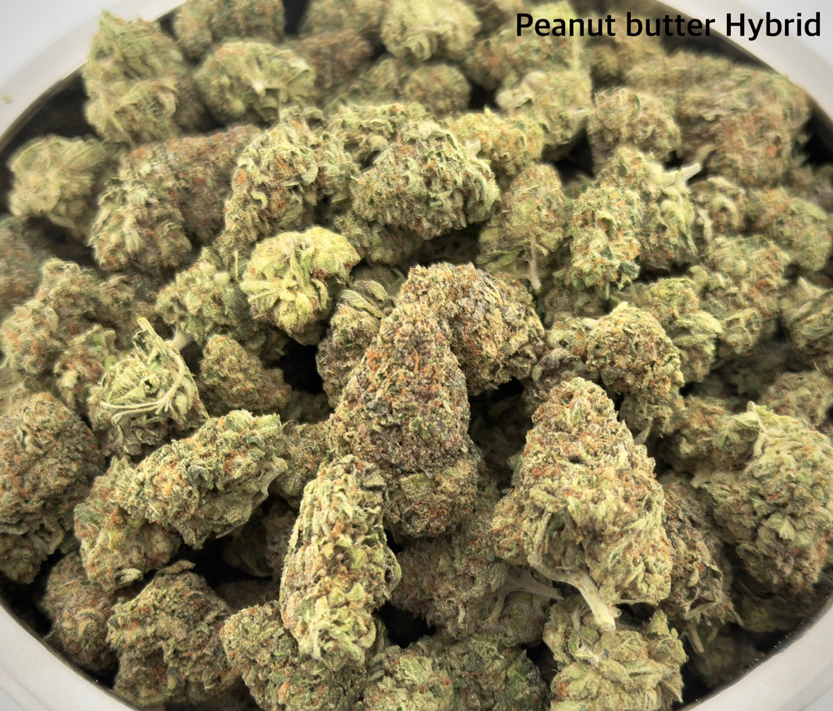 AAA -Peanut Butter Hybrid