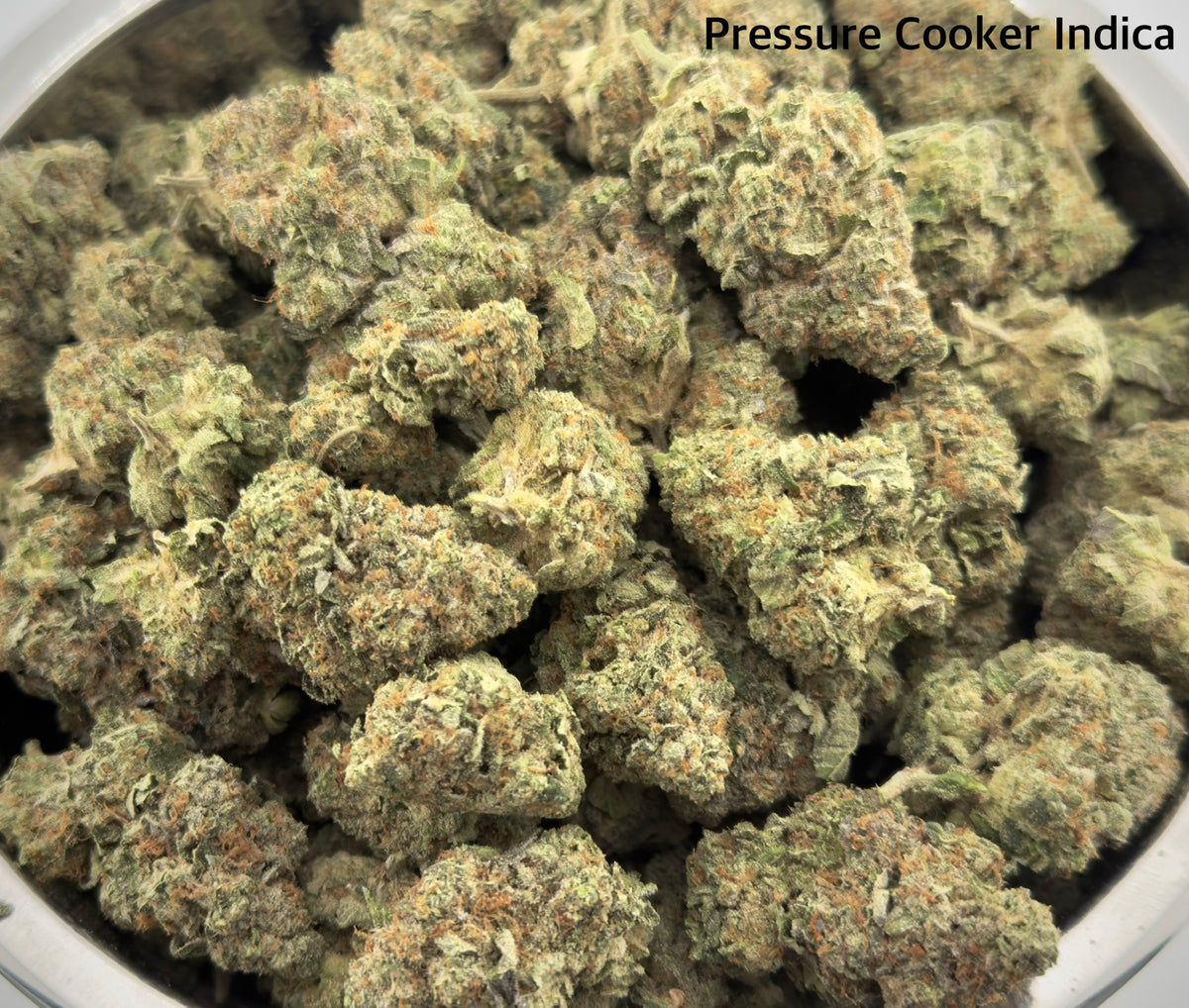AAA -Pressure Cooker Indica