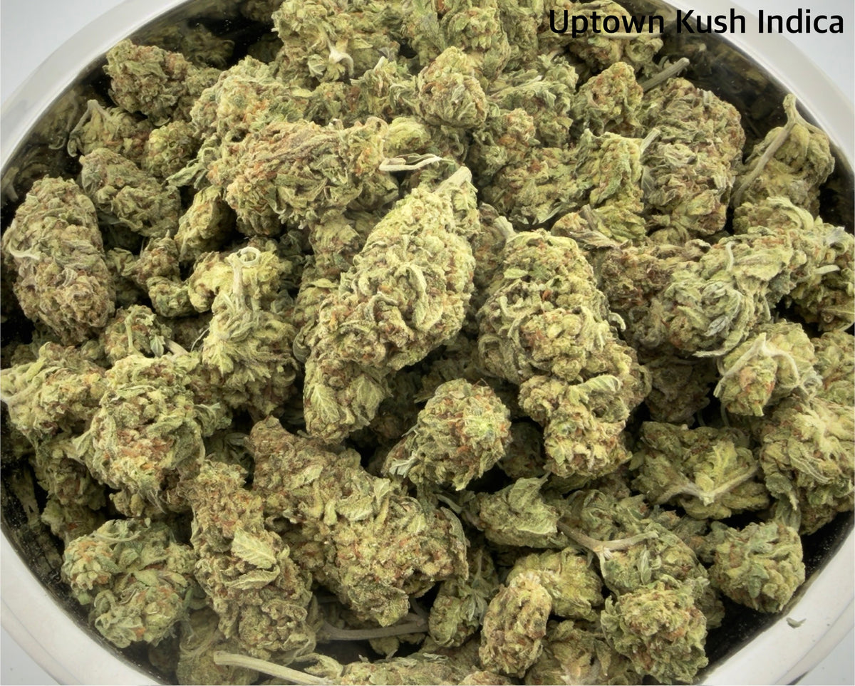 AA - Uptown Kush Indica