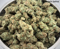 AA - Black Jack Sativa