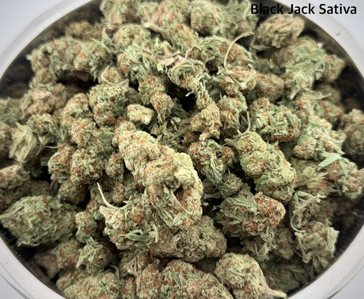 AA - Black Jack Sativa
