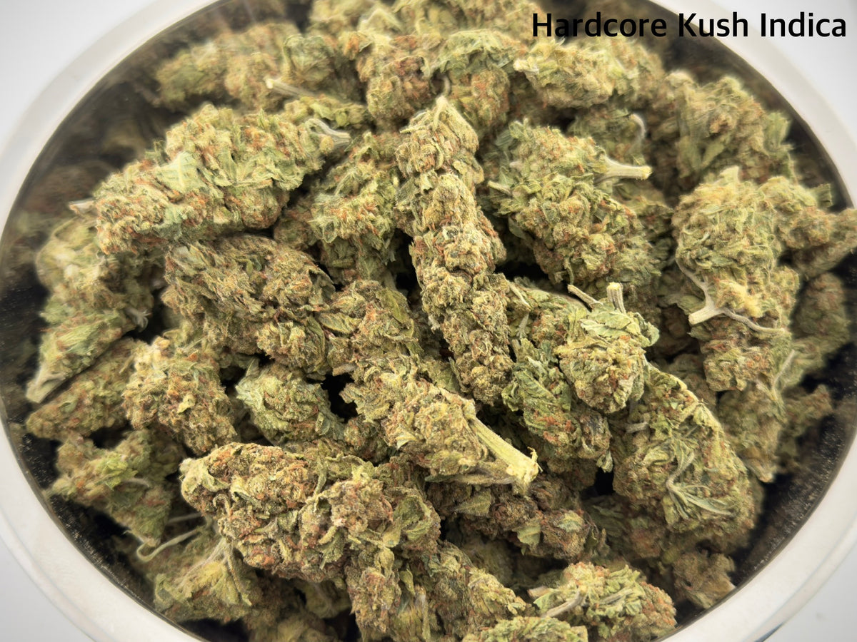 AA - Hardcore Kush Indica