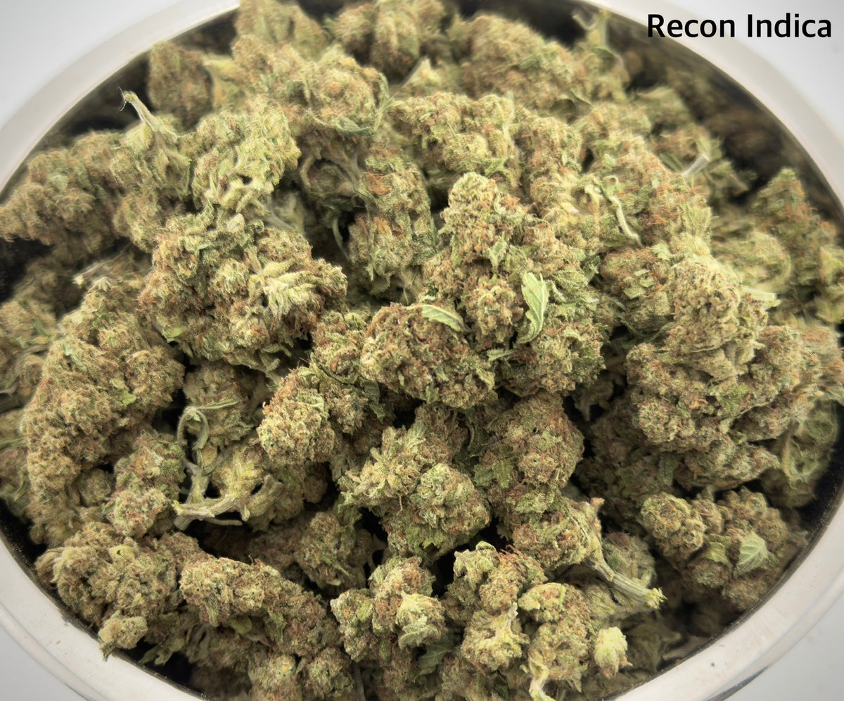 AA - Recon Indica