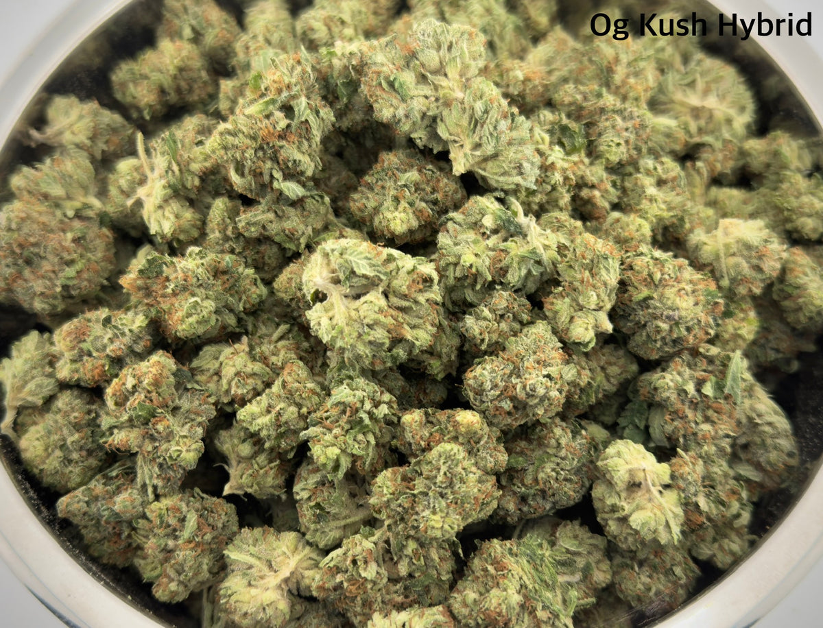 AAAA - OG Kush Hybrid