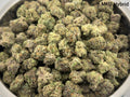 AAAA - MKU Hybrid