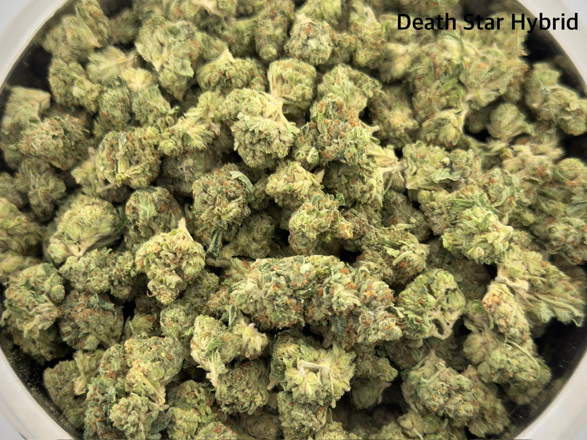 AAAA - Death Star Hybrid