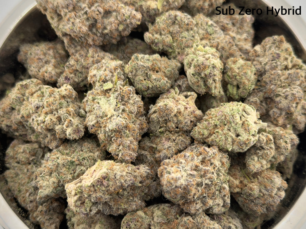 AAAA - Sub-Zero Hybrid